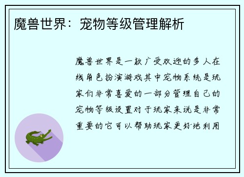 魔兽世界：宠物等级管理解析